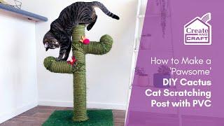 How to Make a DIY Cat Scratch Post Cactus | Home Decor Ideas | Create and Craft