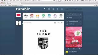 How to Enable Tag Page in Tumblr