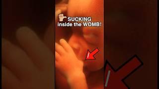 THIS is why babies SUCK their thumbs!  #pregnancy #medical #science