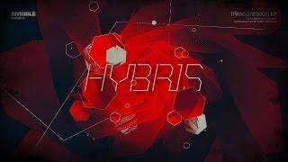 Hybris - Kidney Punch [Invisible Recordings]