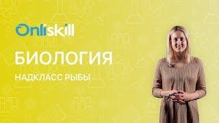 Биология 7 класс : Надкласс Рыбы