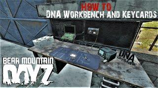 HOW TO craft DNA Workbench and DNA Keycards | Bear Mountain | DayZ