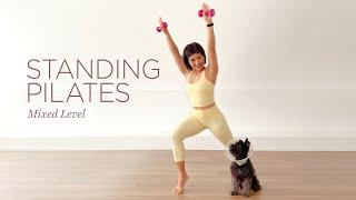 30 Minutes Standing Pilates | Full Body Mixed Level Pilates Workout
