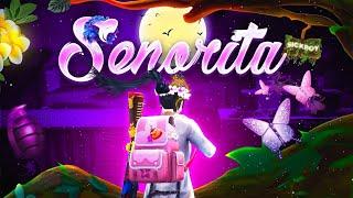 Señorita  PUBG/BGMI 3D Montage | XD