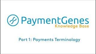 PaymentGenes Knowledge Base - Introduction to payments jargon