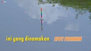 INI YANG DINAMAKAN SPOT PERAWAN, TITIK BERKUMPULNYA IKAN BESAR TEPAT DI BAWAH PERAHU