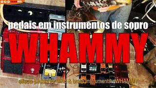 #2 - Digitech - Whammy - Baritone Sax