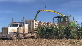 Friesen Harvesting Fall Harvest