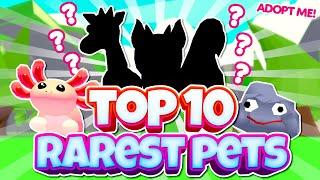 TOP 10 Rarest Pets in Adopt Me 2021 (Roblox)