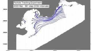 Particle Tracking Experiment at Sea Surface