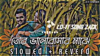 তোর ভালোবাসার মাঝেTor Bhalobashar Majhe।  {Slowed+Reverb}  @GMC Lofi song