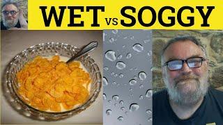  Soggy vs Wet Meaning - Wet or Soggy Definition - Wet and Soggy Examples - The Difference