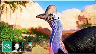  Cassowary Habitat | Desert Franchise Mode | Planet Zoo |