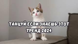 ТАНЦУЙ ЕСЛИ ЗНАЕШЬ ЭТОТ ТРЕНД 2024