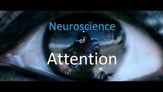 The Neuroscience of “Attention”