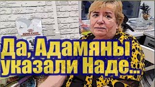 Самвел Адамян гонит Надю Мамкиными "руками", может на Игрень? Вот Васильевна молодец!