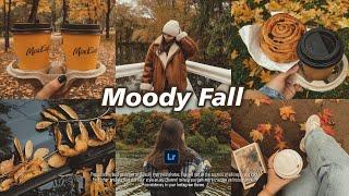 Moody Fall - Lightroom Mobile Presets | Autumn Lr Preset | Fall Lr Preset |  Autumn Filter