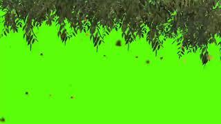 full tree falling green screen (chroma key) effect hd tree green screen.