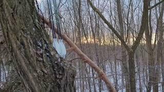 FoxHunter Íjászbolt  Vadász videó Téli vadászat (előzetes)