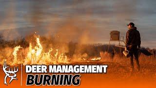 Controlled Burning | How To | Deer Management