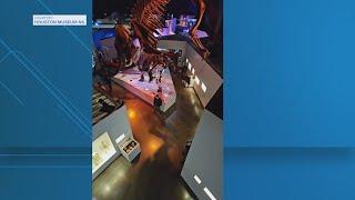 Houston Museum of Natural Science does viral TikTok trend