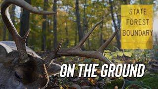 Ohio public land Buck on the ground | bow hunting whitetail adrenaline style