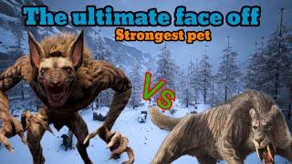 sabertooth vs the hunter of jhebbal for the strongest pet conan exiles age of war chapter 4 2024