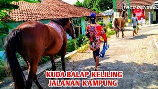 KUDA - KUDA PACU KELILING JALANAN KAMPUNG TUNGGAK SEMI STABLE - horse tato denggel