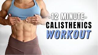 Best 12 Minute Calisthenics Workout - No Equipment - Follow Along