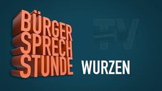 Online-Bürgersprechstunde Wurzen mit Oberbürgermeister Marcel Buchta (20.08.2024)