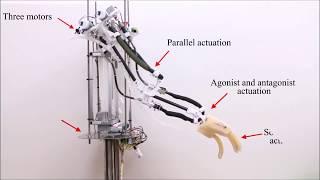 Untethered Multimode Fluidic Actuation: A New Approach to Soft and Compliant Robotics