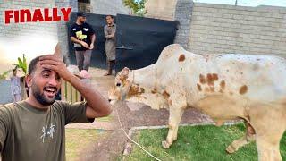 Qurbani Ka Janwer Mini Zoo Main AgiyaSab Bht Khush