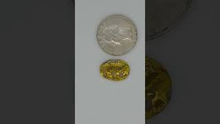 Gold in Quartz Cabochon - Native Gold Bearing Quartz - Gold Veins