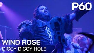 Wind Rose - Diggy Diggy Hole | Live @ P60 Amstelveen