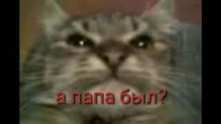 Кіт мав на русском языке