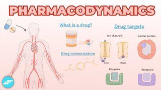 Introduction to Pharmacodynamics | Pharmacology