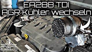 AUDI SEAT SKODA VW | Golf 7 | EA288 TDI | *DGCA* | AGR-Kühler wechseln | Drehmomentwerte