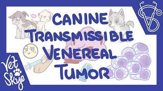 Canine Transmissible Venereal Tumor (CTVT)