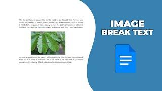 how to wrap an image with break text in Google Docs