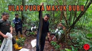 Cari Ular Purba dalam bubu ikan bersama Ayub Muhamad