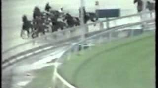 Hambletonian 1982 -Speed Bowl