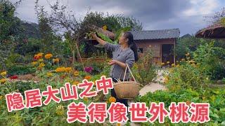 广西深山发现一户人家，隐居深山自建小屋开荒种菜，美得像世外桃源