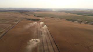 Day 4 (7/26) - Highwood, Montana Harvest