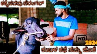 kakkepadavu perangal kambala story!! ಕಕ್ಕೆಪದವು ಪೆರಂಗಲ್ ಕಂಬಳ ಕಥೆ ನಮ್ಮ ಜೊತೆ 