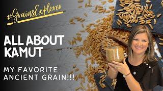 Why is kamut my favorite? | All about kamut/khorasan | Ancient Grain| Grains Explorer Challenge 2024