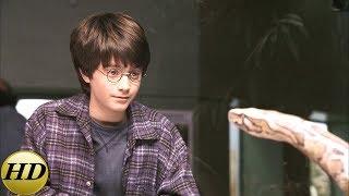 Гарри говорит со змеей. Гарри Поттер и философский камень.