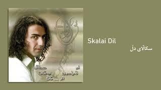 Aras Koyi - Skalai Dil (Official Audio)