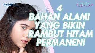 4 CARA MENGHILANGKAN UBAN SECARA ALAMI || BAHANNYA MUDAH BANGET DICARI!