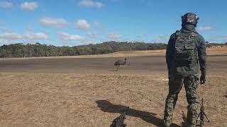 South Korean soldiers encounter Australia's most dangerous wildlife