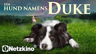 Duke (FAMILY COMEDY MOVIE in full length, dog films in German, comedy films new)